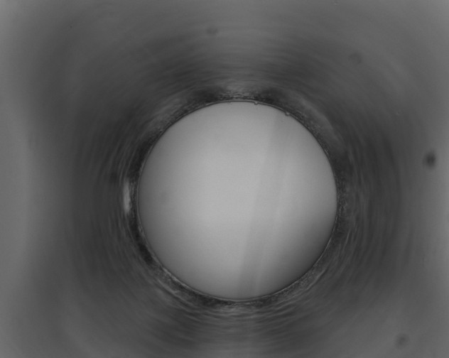 X0000097810075200803140808