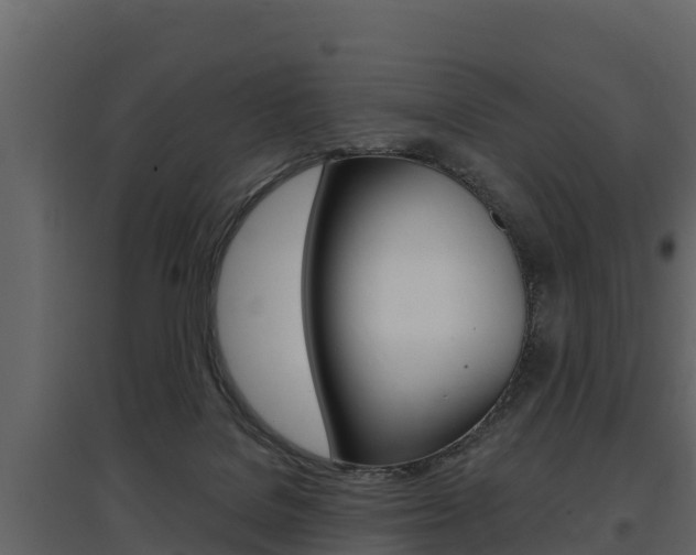 X0000097810076200803140808