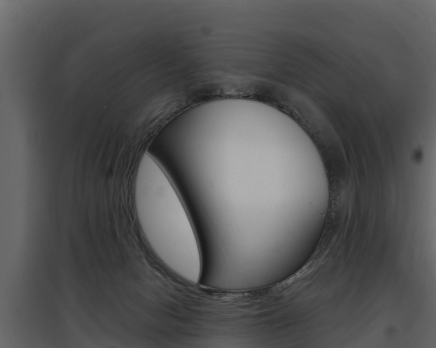 X0000097810078200803140808
