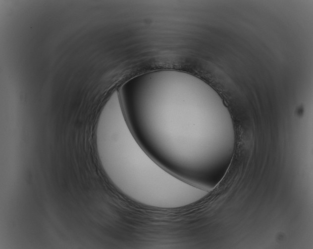X0000097810080200803140808