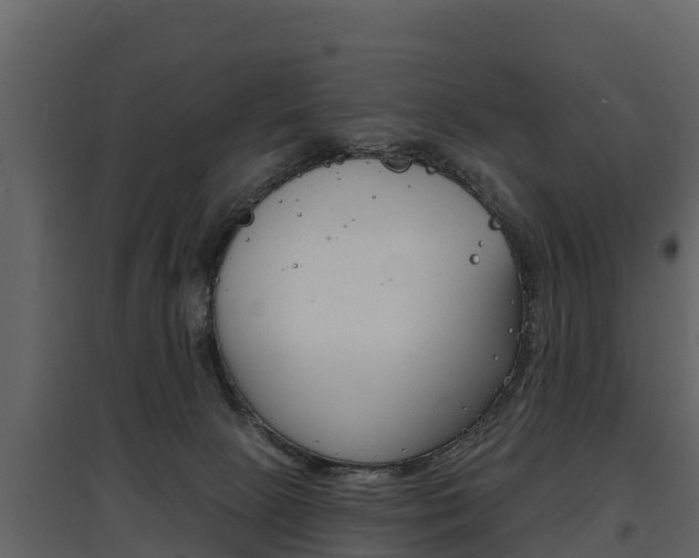 X0000097810081200803140808