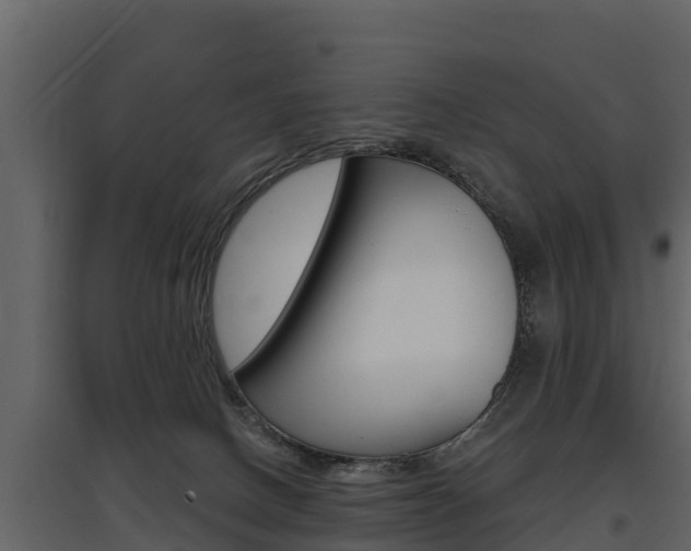 X0000097810082200803140808