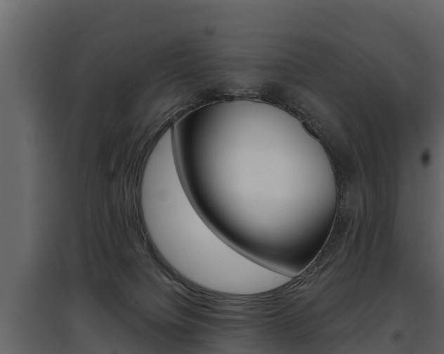 X0000097810084200803140808