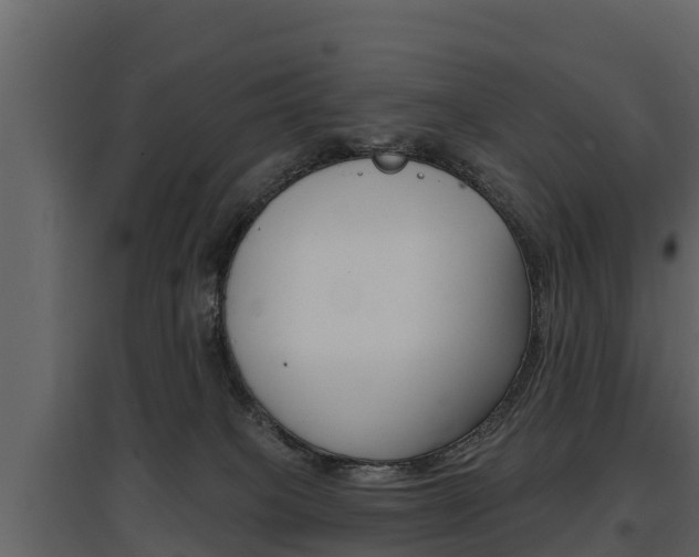 X0000097810085200803140808