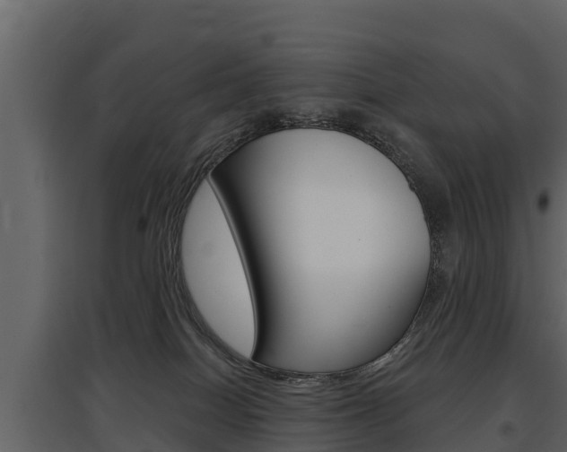 X0000097810086200803140808
