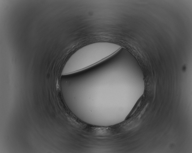 X0000097810089200803140808