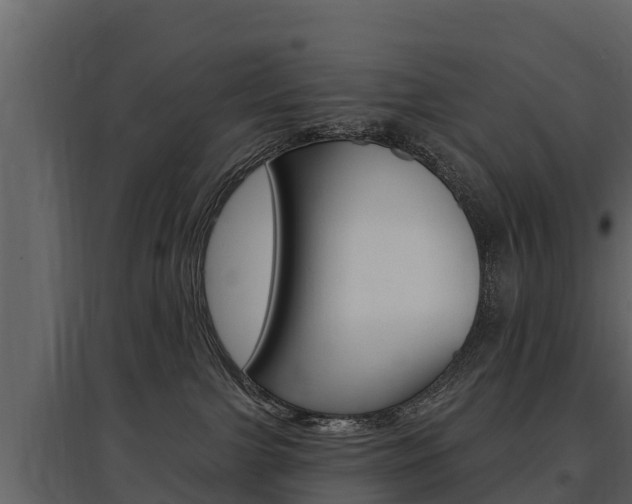 X0000097810091200803140808