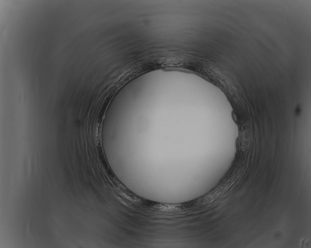 X0000097810093200803140808