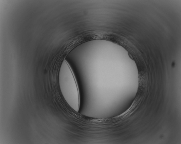 X0000097810094200803140808