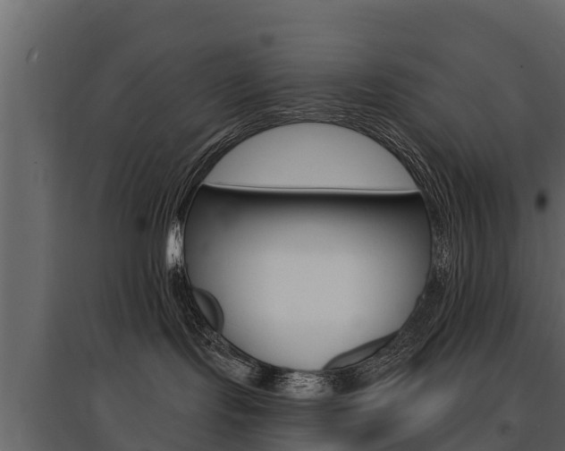 X0000097810095200803140808