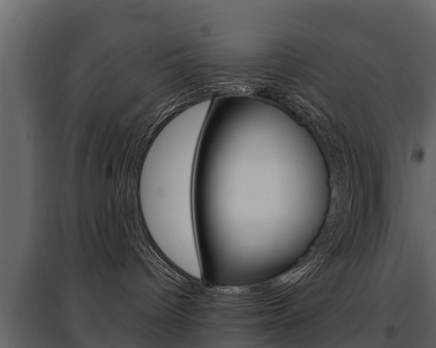 X0000097810096200803140808