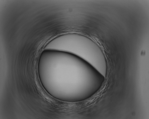 X0000097810097200803140807