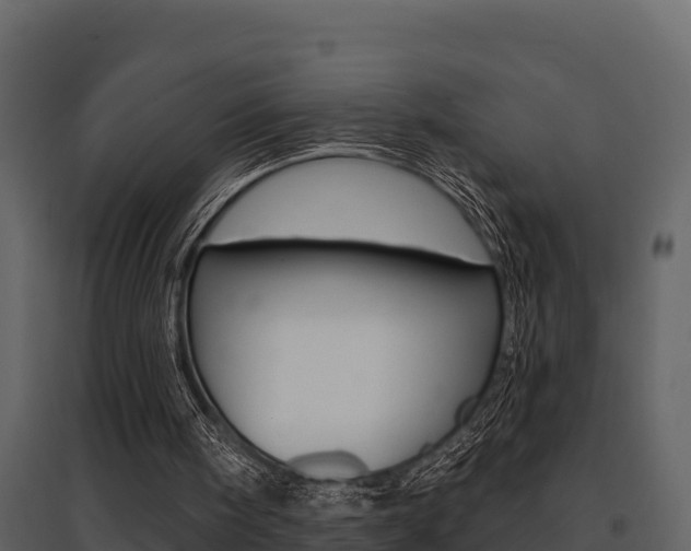 X0000097810098200803140807