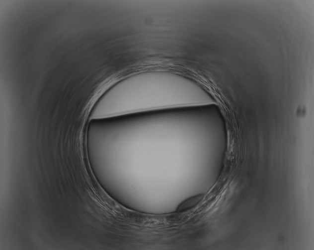 X0000097810099200803140807