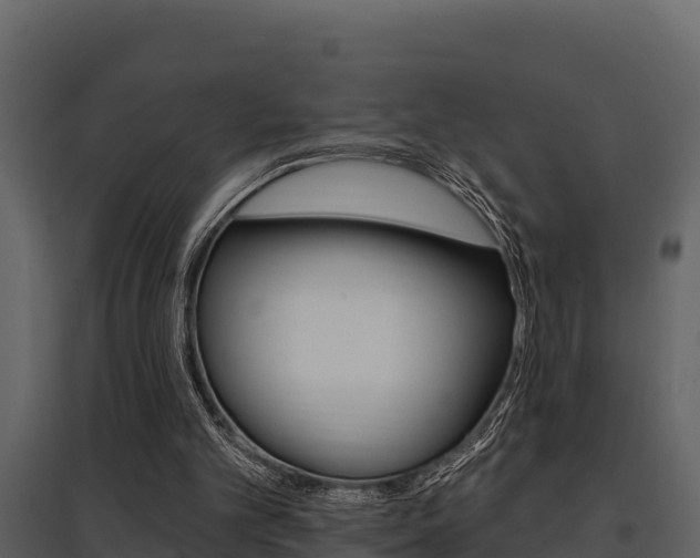 X0000097810101200803140807
