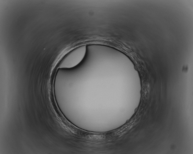 X0000097810102200803140807