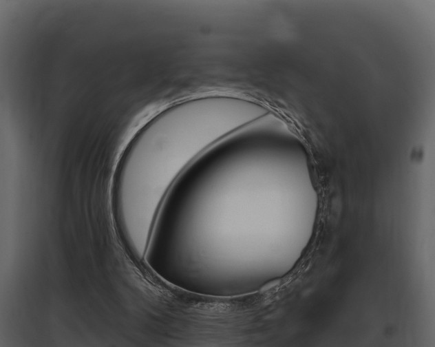 X0000097810104200803140807