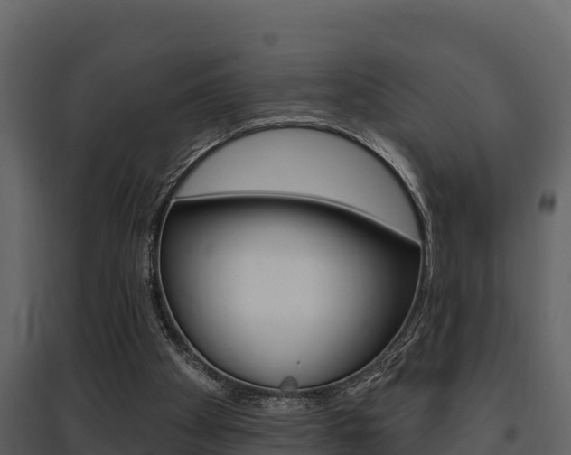 X0000097810105200803140807
