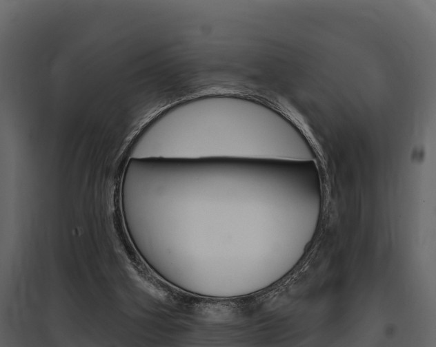 X0000097810106200803140807