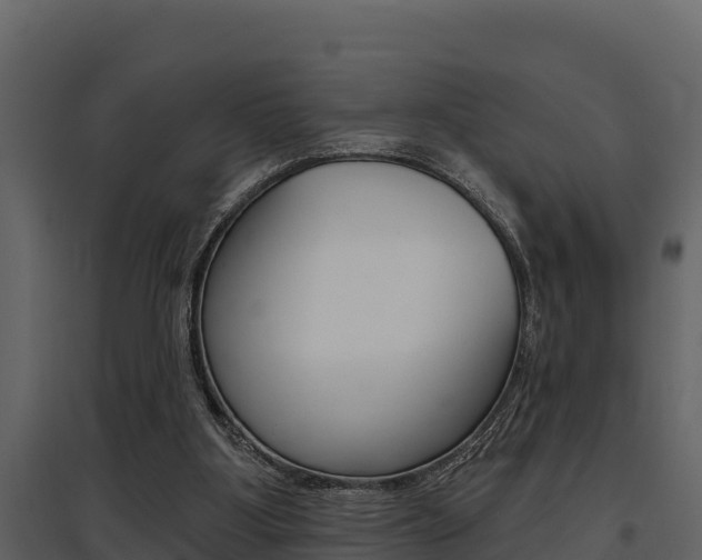 X0000097810107200803140807