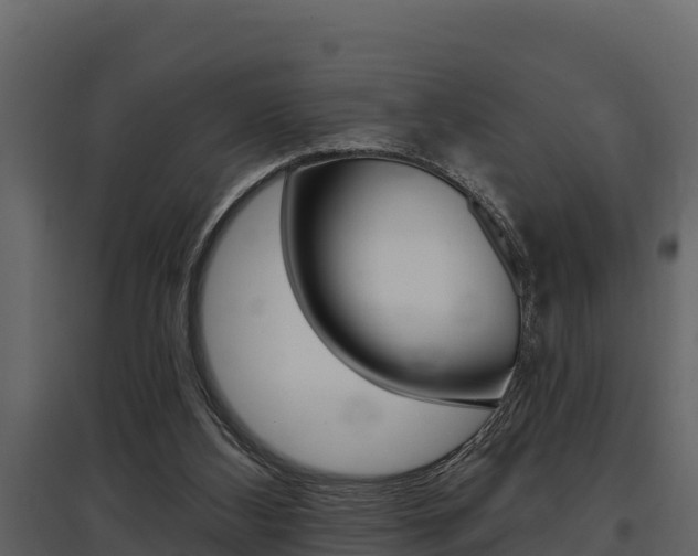 X0000097810108200803140807