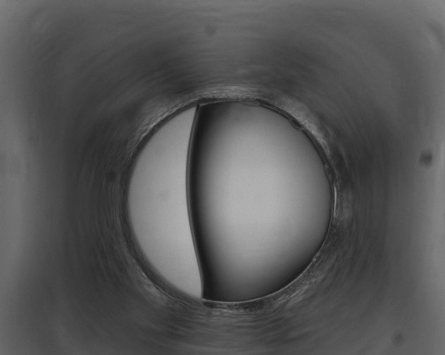 X0000097810109200803140807