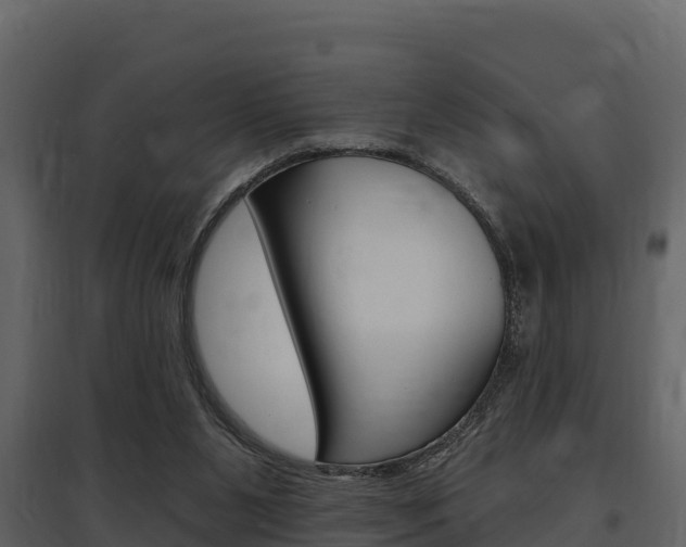 X0000097810111200803140807