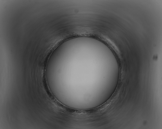 X0000097810113200803140807