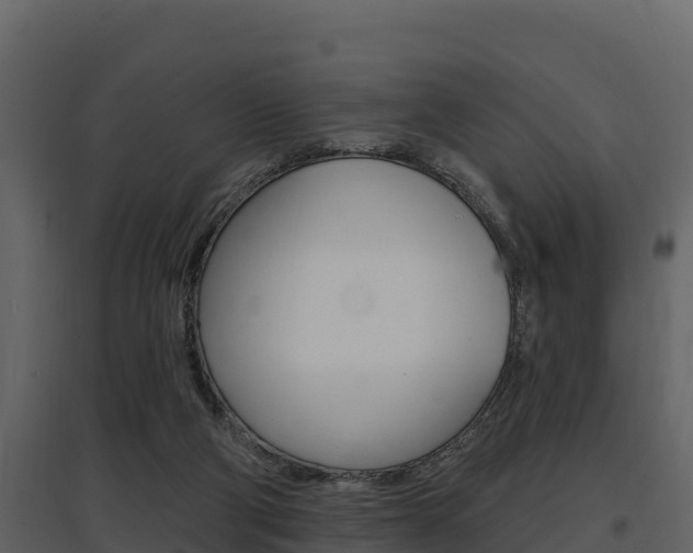 X0000097810114200803140807
