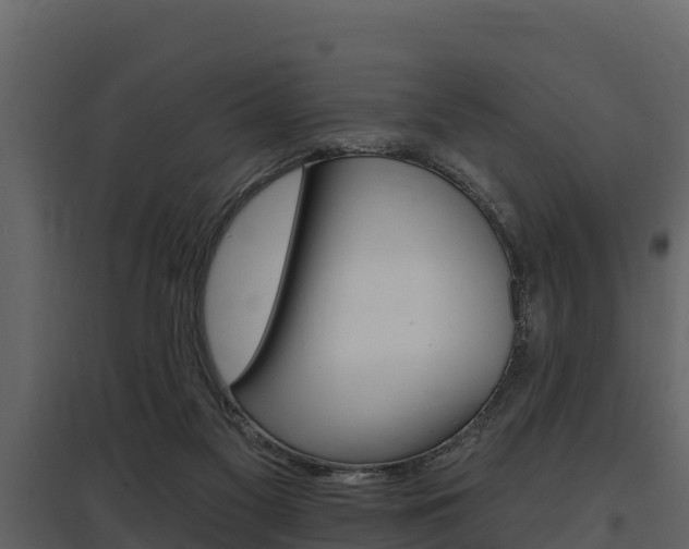 X0000097810117200803140807