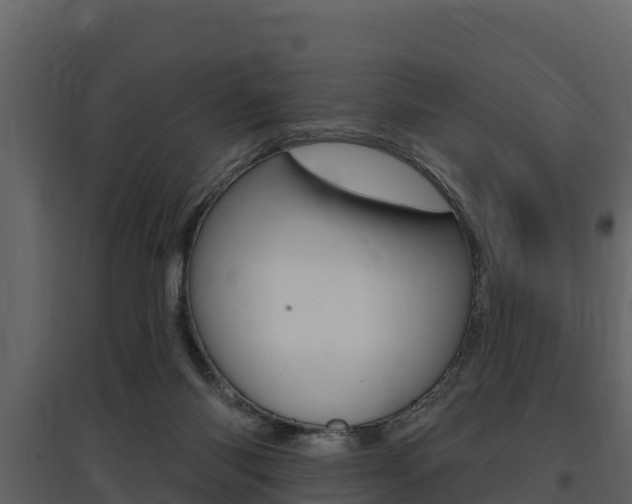 X0000097810118200803140807