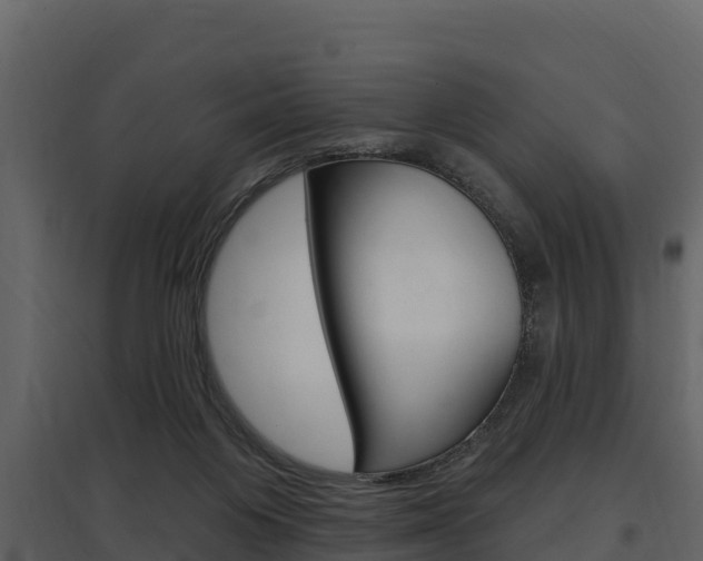 X0000097810119200803140807