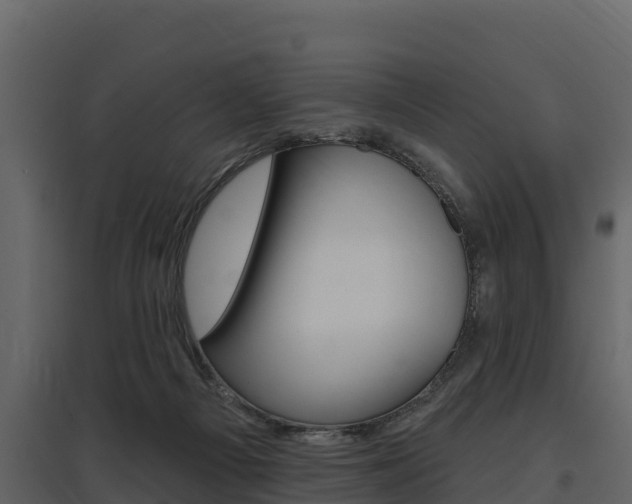 X0000097810121200803140807