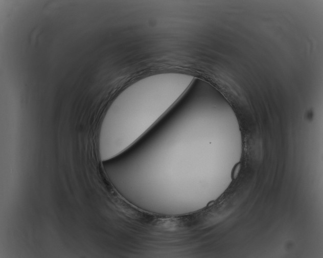 X0000097810127200803140807