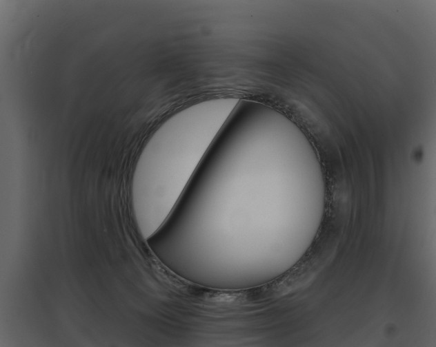X0000097810129200803140807