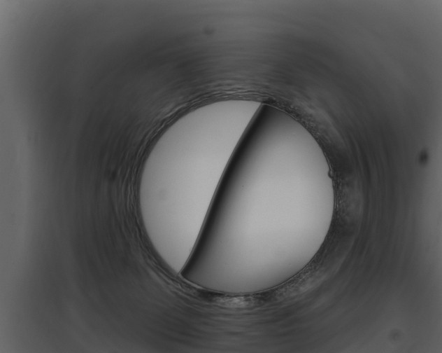 X0000097810131200803140807