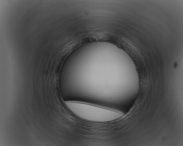 X0000097810132200803140807