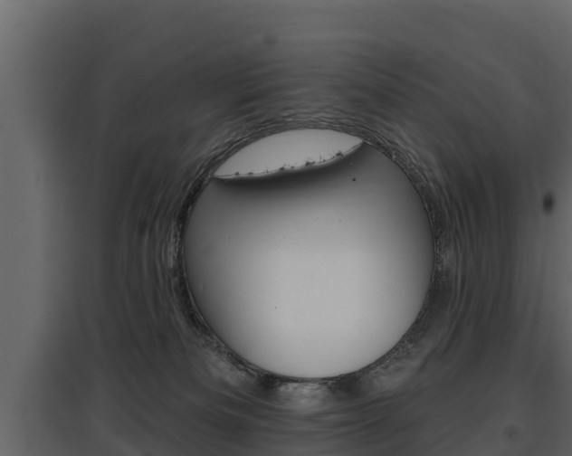 X0000097810133200803140807