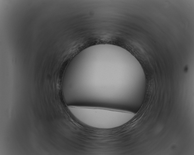 X0000097810135200803140807