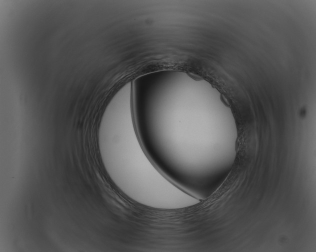 X0000097810137200803140807