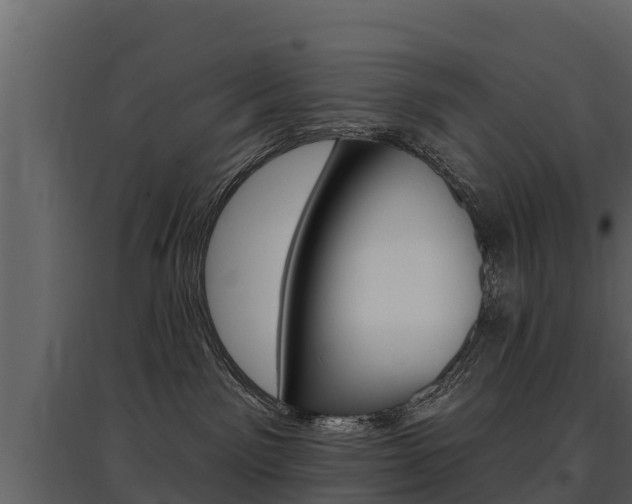 X0000097810141200803140807