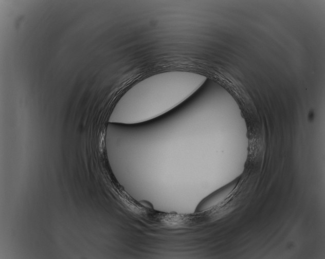 X0000097810142200803140807