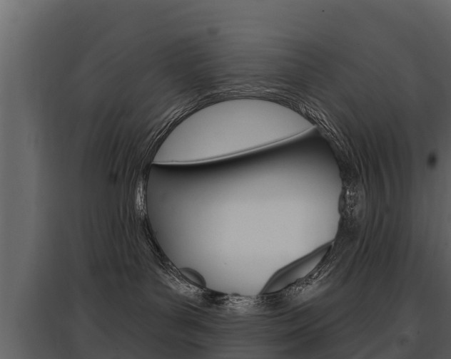 X0000097810143200803140807