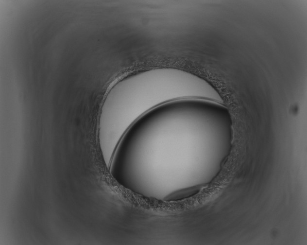 X0000097810144200803140807