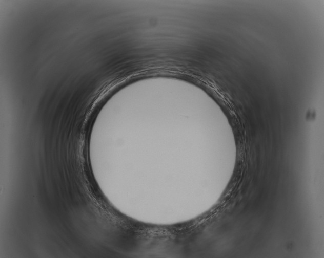 X0000097810146200803140806