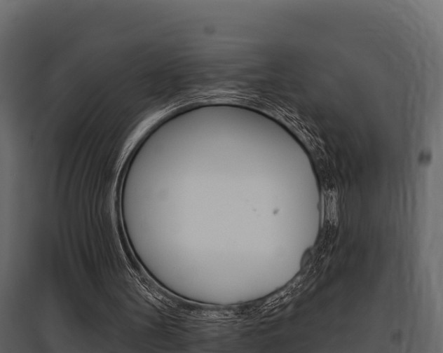 X0000097810147200803140806