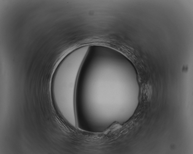 X0000097810148200803140806
