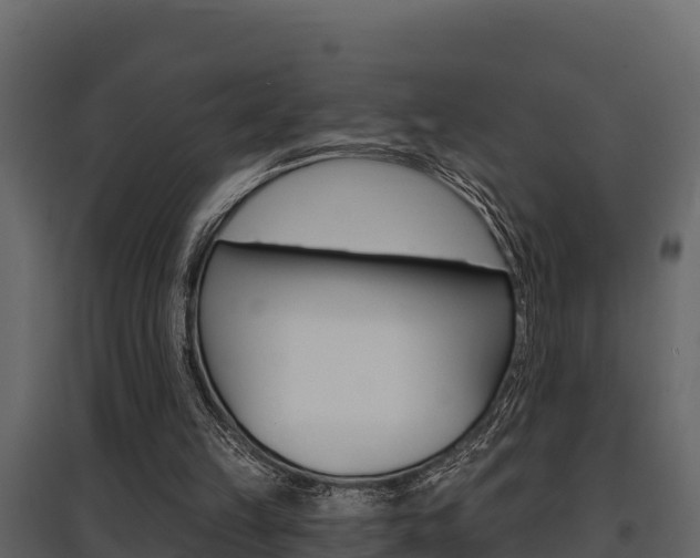 X0000097810149200803140806