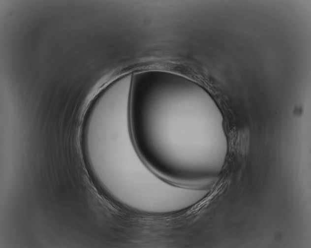 X0000097810150200803140806