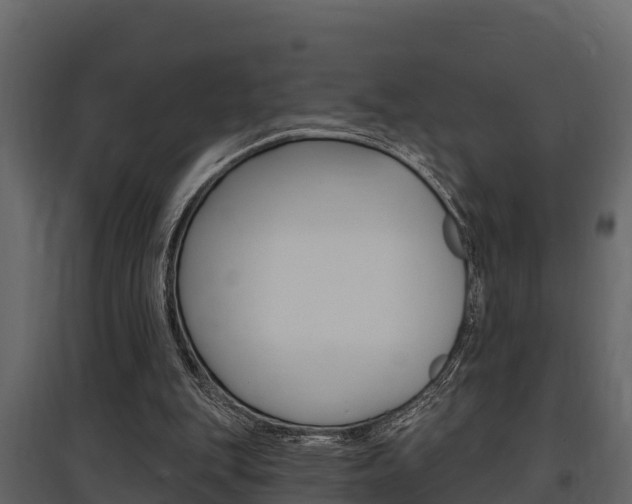 X0000097810151200803140806
